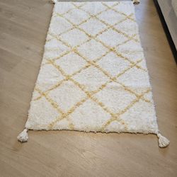 Thick Fluffy Area RUG 5X5