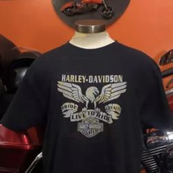 Harley Davidson T-shirt Large Men TOULOUSE , FRANCE