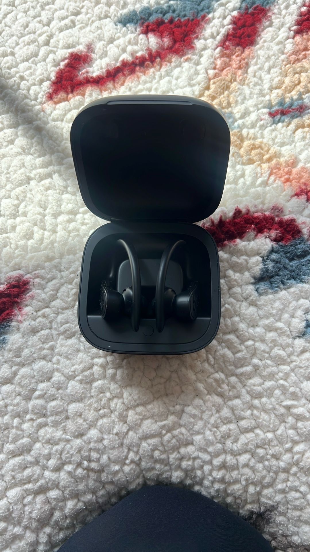 Bose Powerbeats Pro (no Charger Wire)