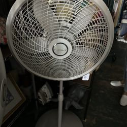Fan