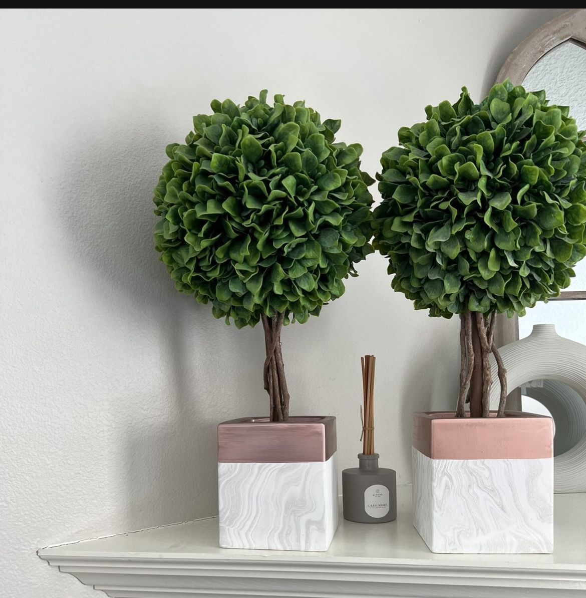 Faux Plant