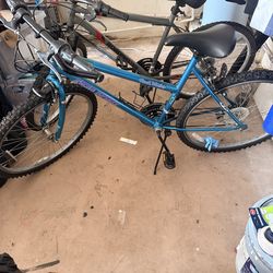 Two bikes for 1