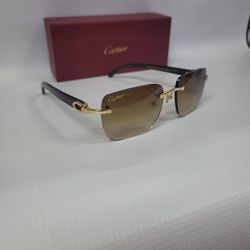 Cartier Sunglasses Buffs 👓 
