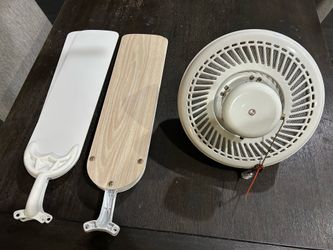 Ceiling Fan