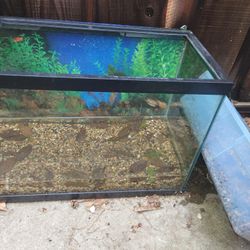 55 Gallon Fish Tank With All Accessories 