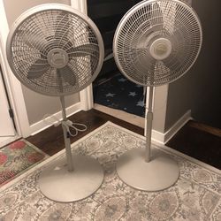 Nice Lasco Fans 