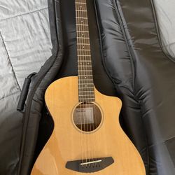 Breedlove Passport Concert Bundle