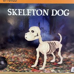 Skeleton Halloween Decor