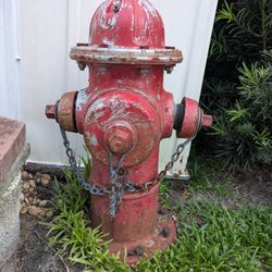 Decommissioned Fire Hydrant 