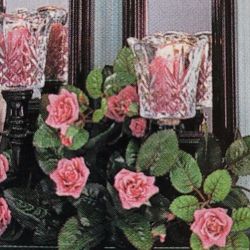 Home Interior " Par De Vasos. Parra Sconses  