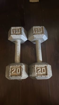 20lb dumb bells