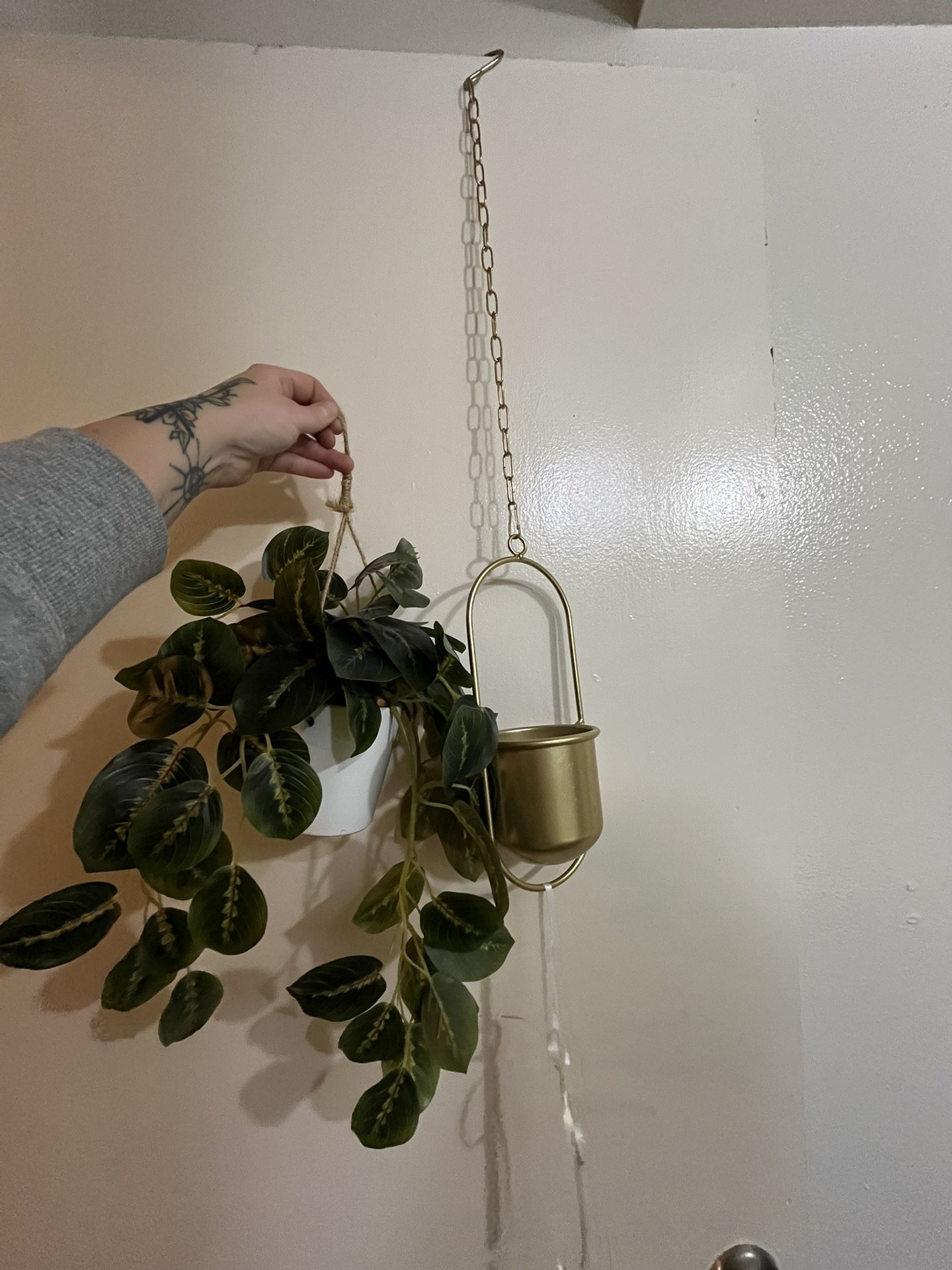 Hanging Plant And Holder