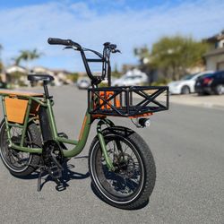 Radrunner Electric Bike With Rack