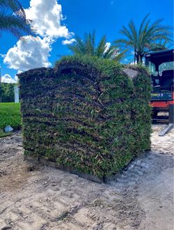 🌱Fresh sod for sale