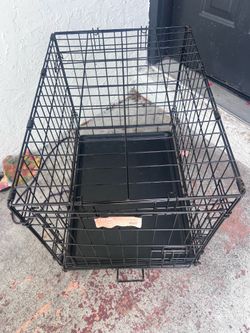 Bird cage