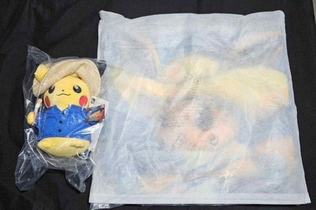 Pokemon Von Gogh Items
