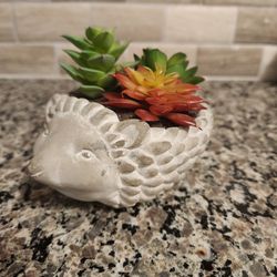 Cute Hedgehog Planter With Fake Succulents