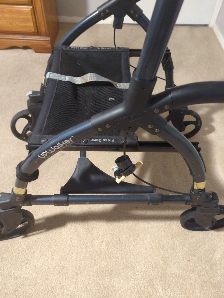 Elderly Walker Standup