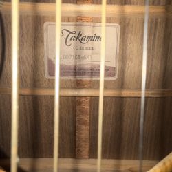 6 String Takamine