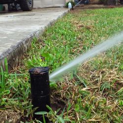 Lawn Sprinklers, Drip Irrigation 