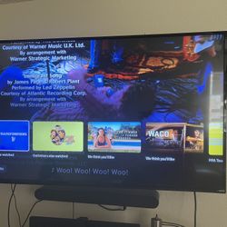 55” TV VIZIO