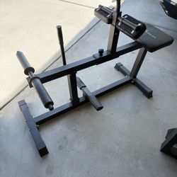 Seated Calf Raise Machine