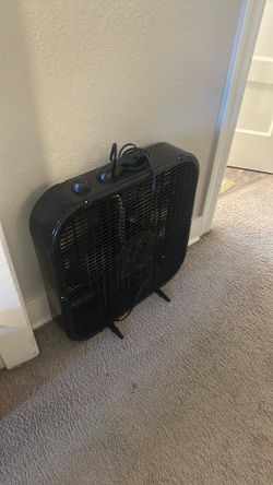 free fan