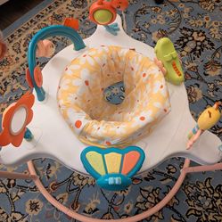Fisher Price Baby Bouncer