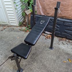 Weight Bench
