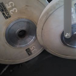 35lbs Bumper Weights