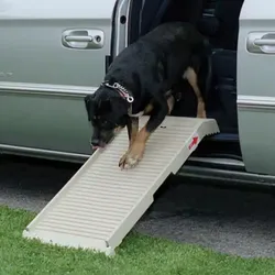 Pet Step . Ramp