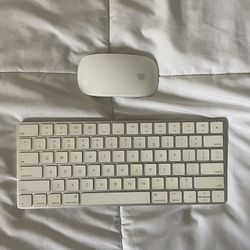 Apple Magic Mouse 2 and Magic Keyboard