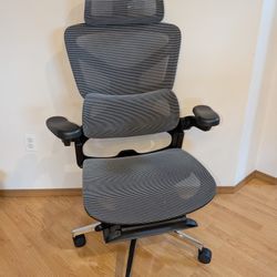 Boulies Ergonomic Desk Chair (Model EP500)