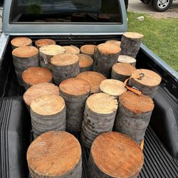 Plant Stands/ Palm Stumps