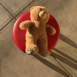 Build A Bear Teddy Bear