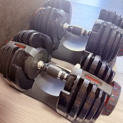 bowflex dumbbells set