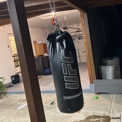 UFC Punching Bag 