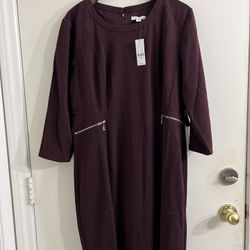 NY & Co Burgundy Knee Length Dress SZ XL