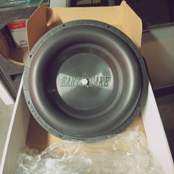 Earthquake Passive Radiator Module. Pump - 10 In Brand New. Sealed box sound ported FREE DELIVERY