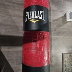 EVERLAST 70LB PUNCHING BAG 