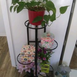 Plants $5 to $10