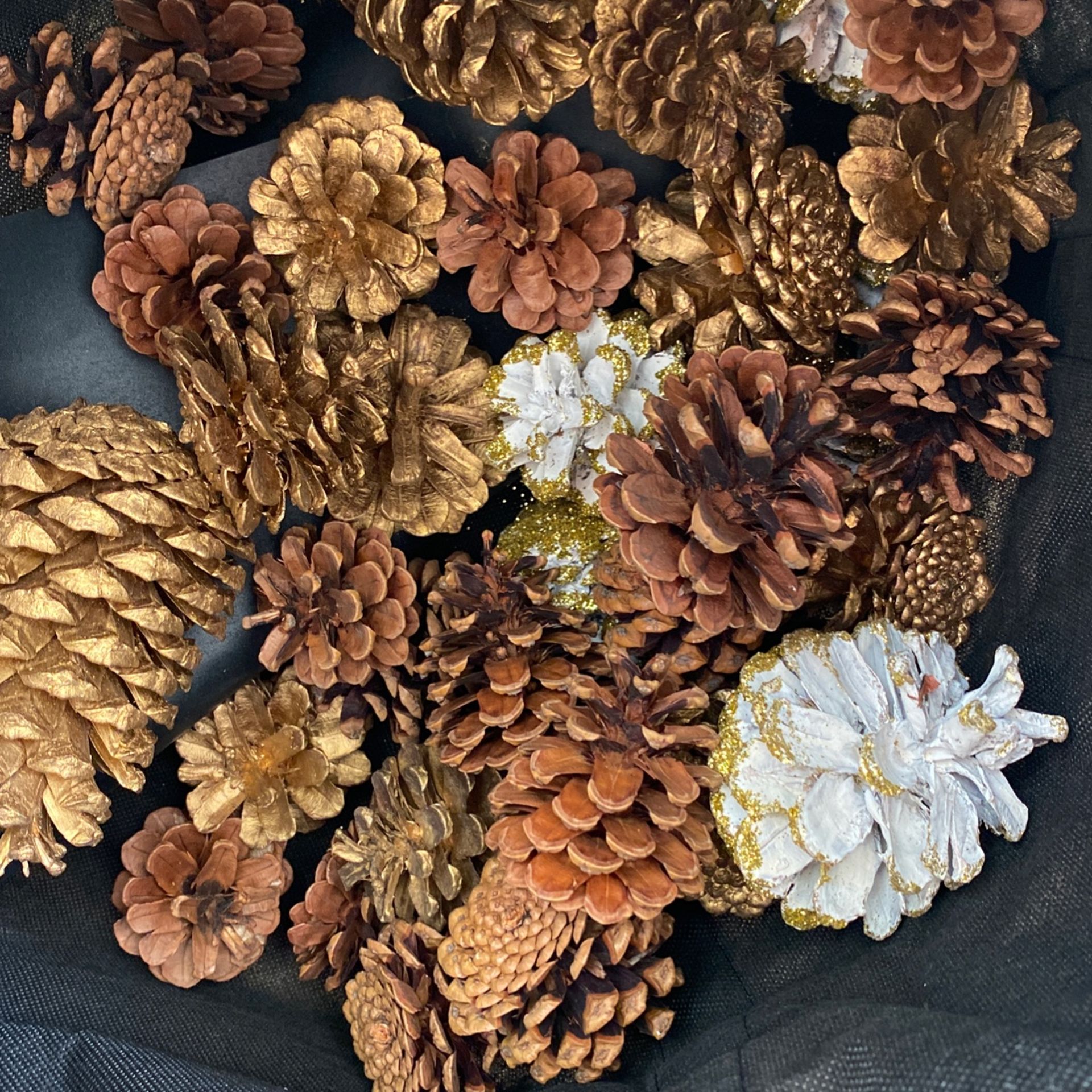 Gold, Glitter, Natural pine cone Assortment