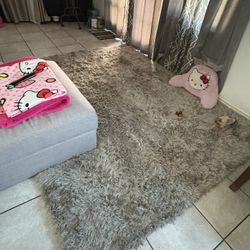Shaggy Carpet