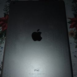 iPad Air