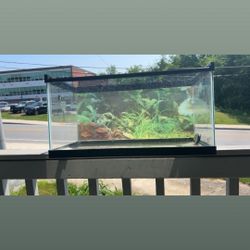 20 Gallon Fish tank 