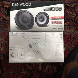 Kenwood 300w