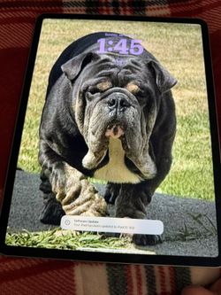 iPad Air 13” 128G
