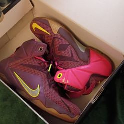 Nike Men's Lebron 12 Double Helix