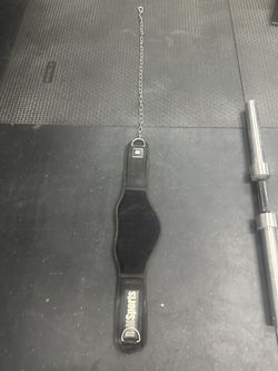 Weighted Belt For Dips/pullups/sled Work $20