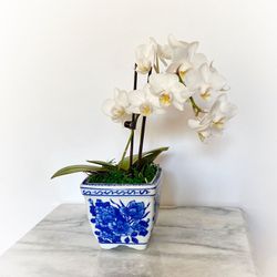Blue & White Fine Porcelain Ceramic Bowl Planter Pot Only 